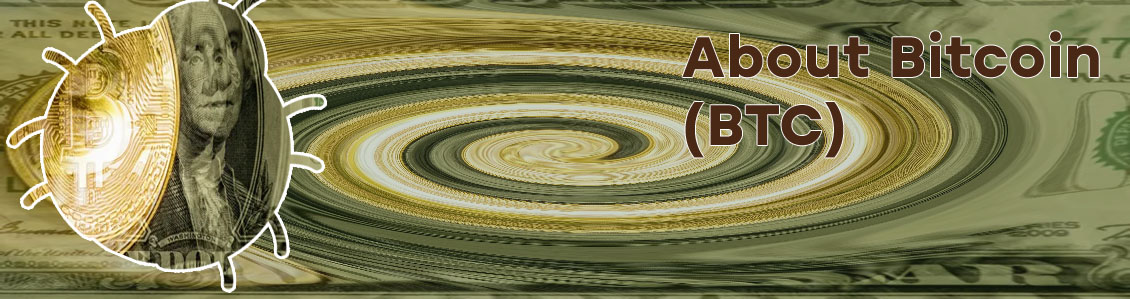 One bitcoin worth